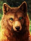 Fair wolf аватар